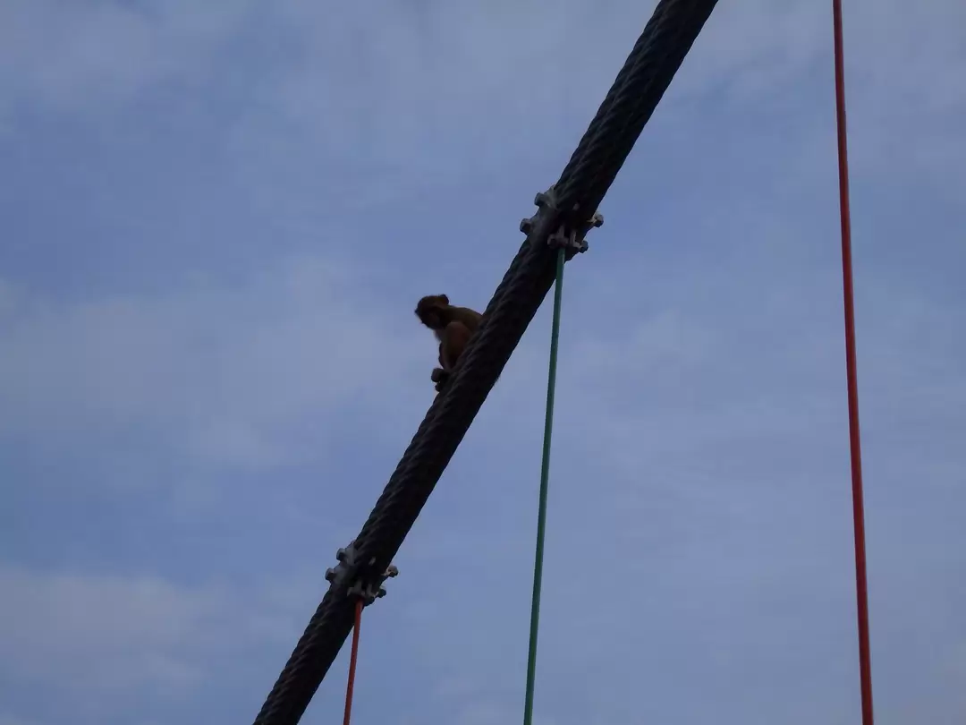 Photo of Journey to the land 