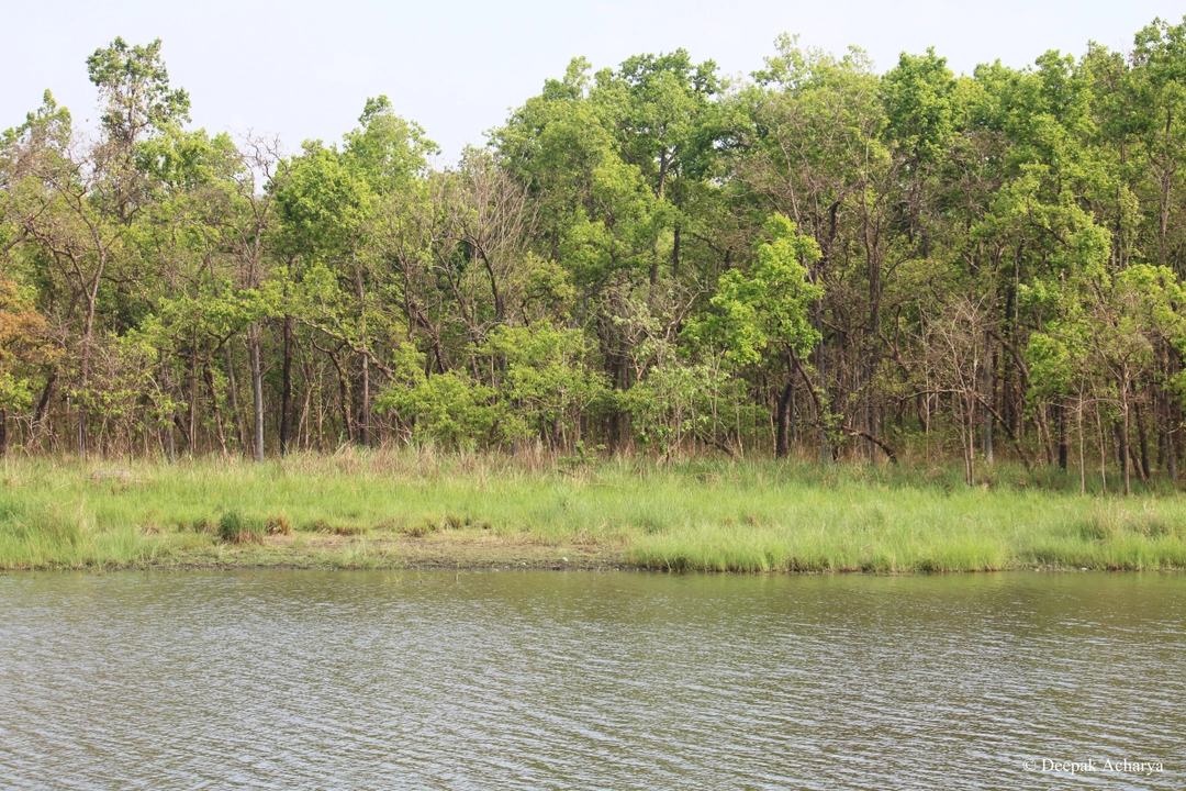 Photo of Encounter With Wild 