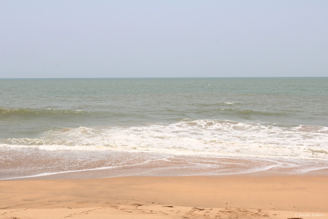 Photo of This Is How Cola Bea