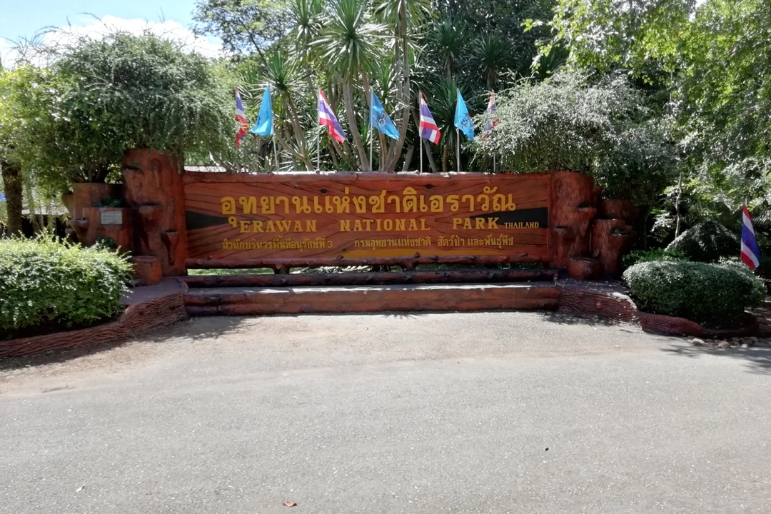 Photo of A Perfect Guide To T