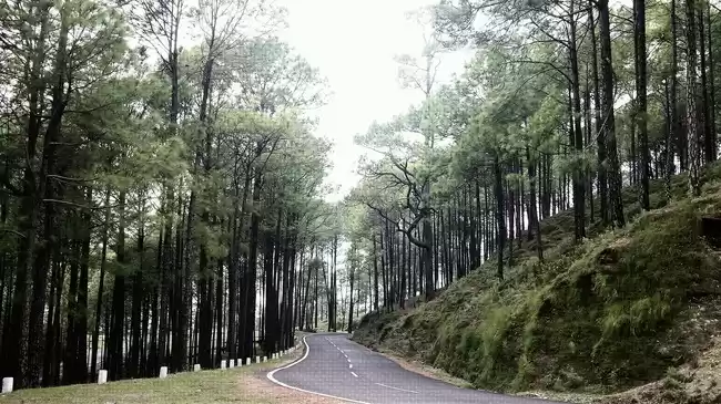 Photo of Khirsu Uttarakhand :
