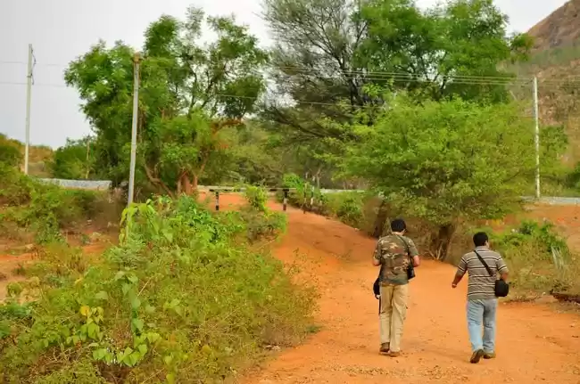 Photo of A Trek Up the Makali