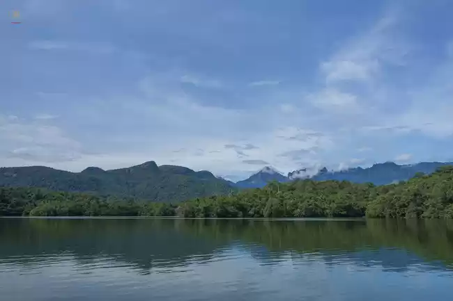Photo of Kerala Tour: The fir