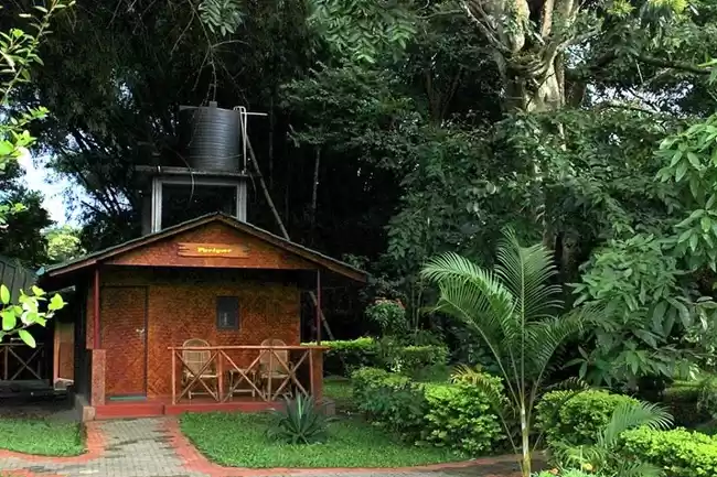 Photo of Grooving to Nature’s