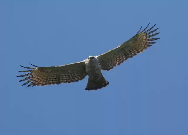 Photo of Visit to North Bihar