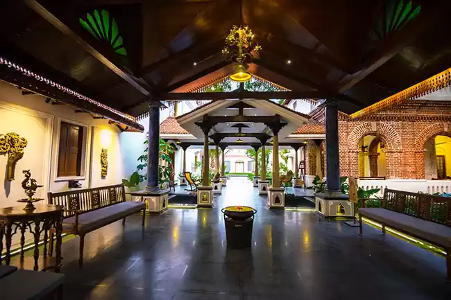 Photo of Bringing Back
Tanjav