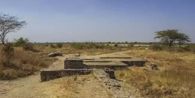 Photo of Curious Case of Loth