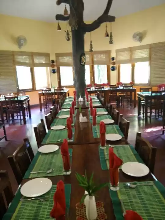 Photo of Roaring Tigers at Pe