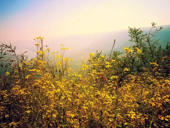 Photo of Mahabaleshwar, Mahar