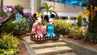 Photo of 10 Best Places to vi