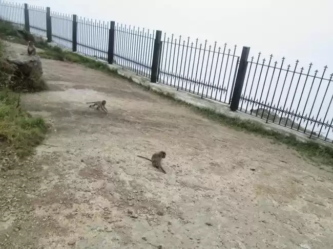 Photo of Chill Out: From Bang