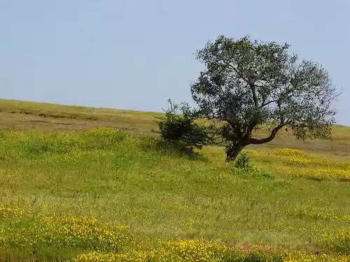 Photo of Top trekking and cam