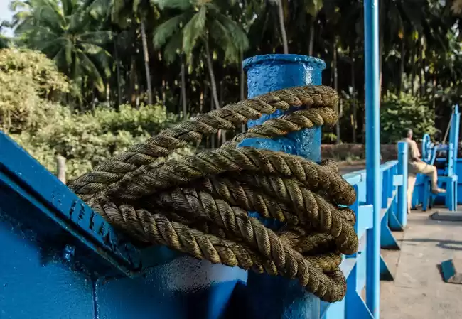 Photo of For the love of the 