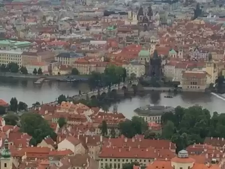 Photo of Indian Spotted