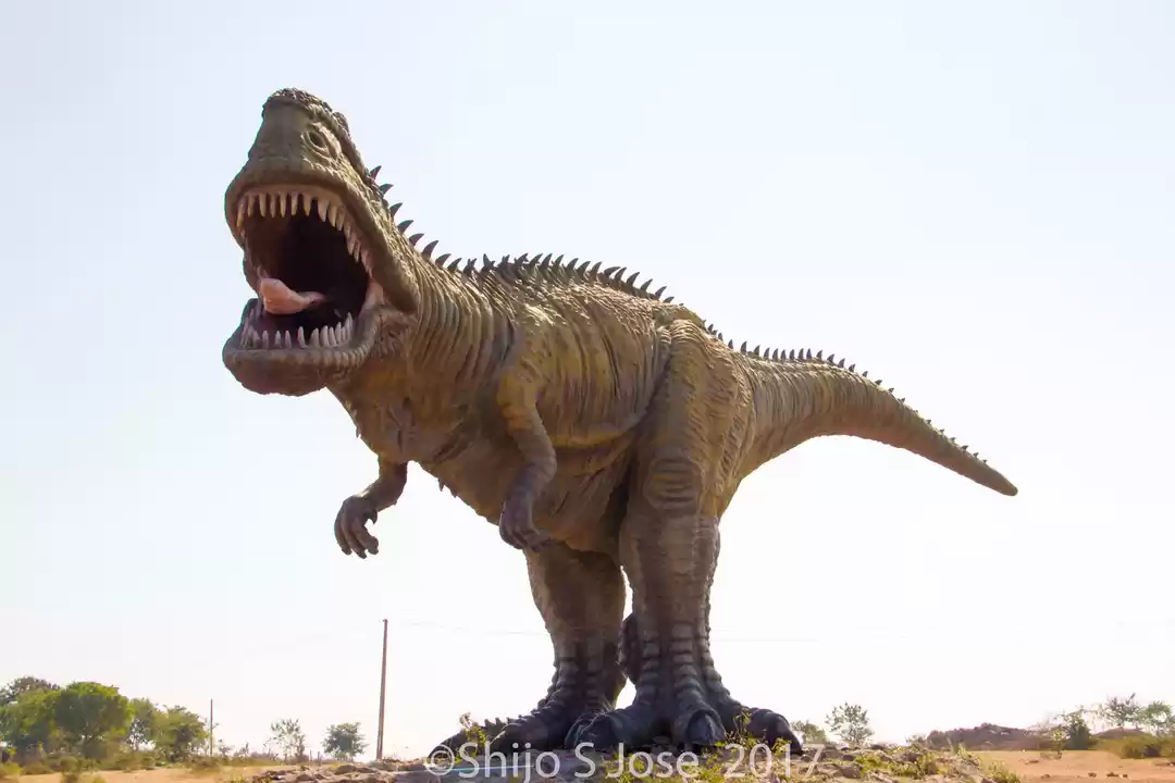 Photo of India's best kept se