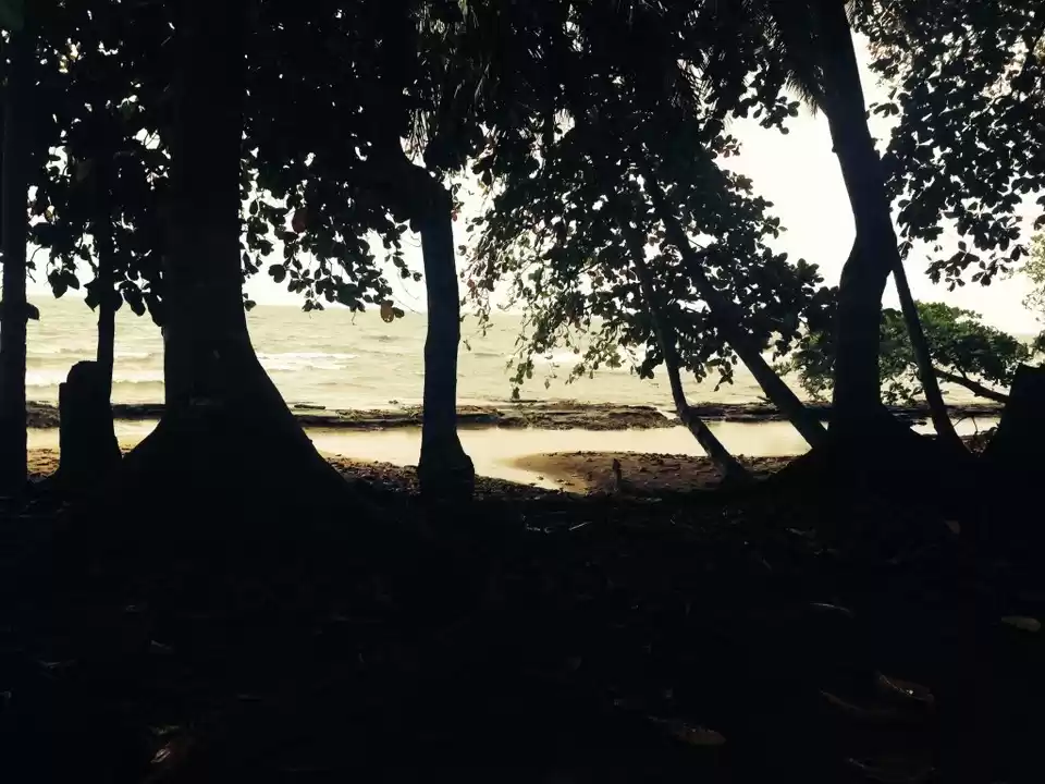 Photo of Puerto Viejo, Costa 