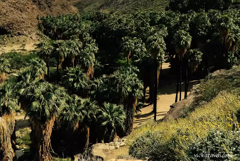 Photo of Indian Canyons