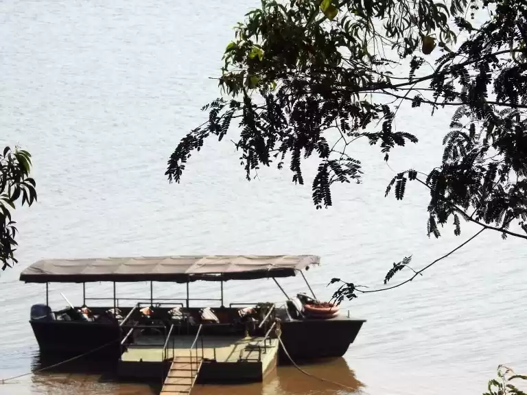 Photo of Kabini In Pictures: