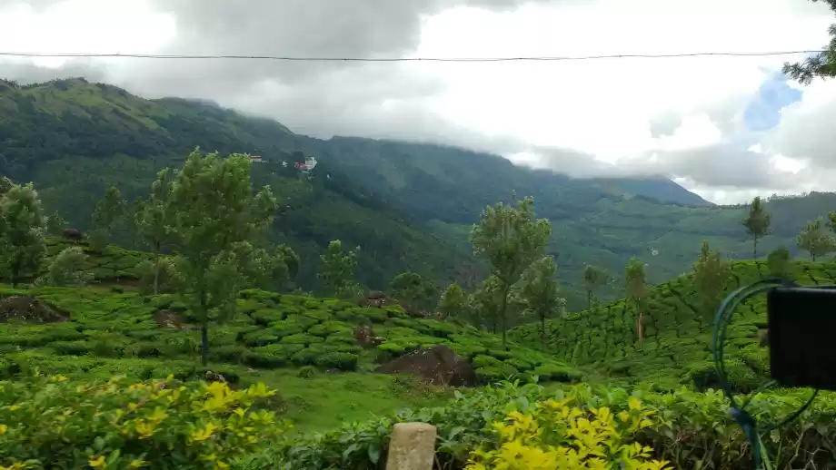 Photo of Munnar: God's Own Co