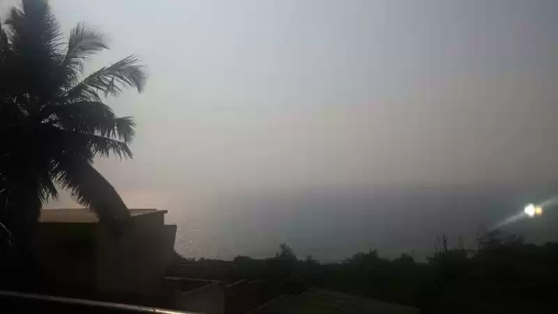 Photo of Glittering Golden an