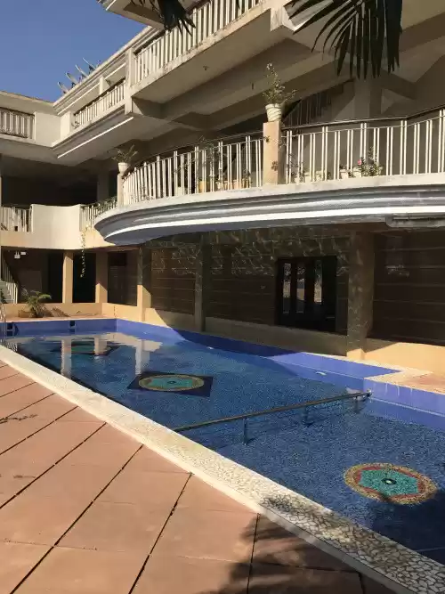 Photo of A Trip With Your Chi