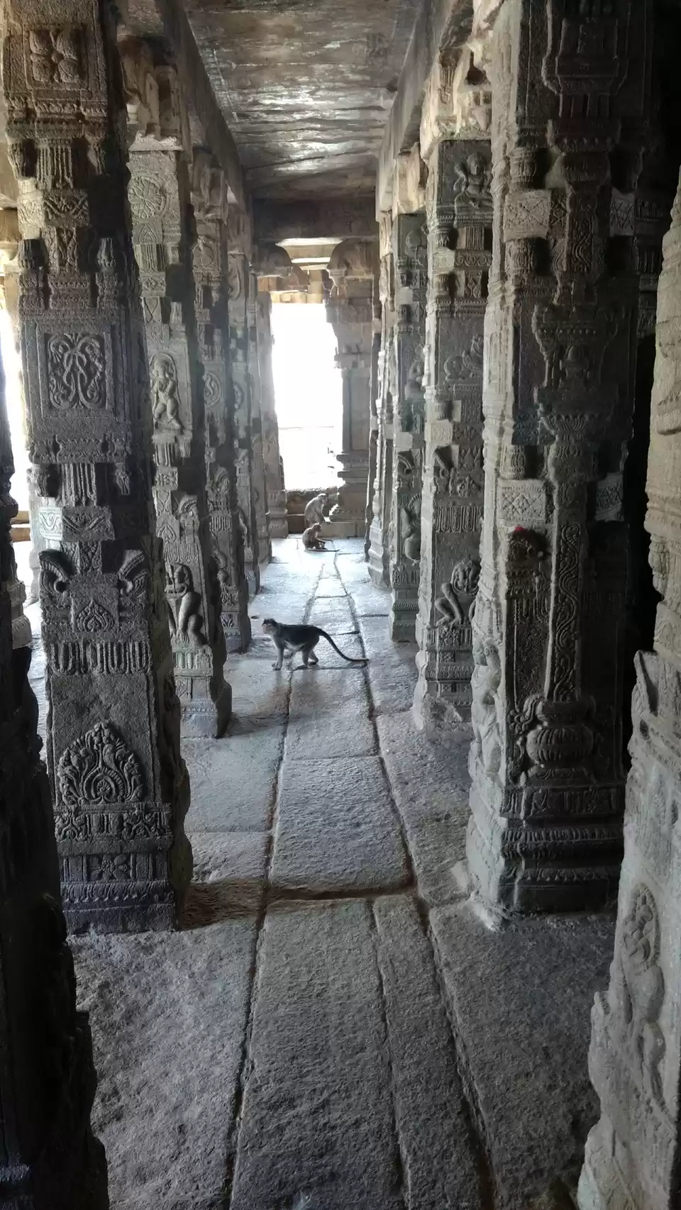 Premium Photo | Pillars of veerabhadra temple in lepakshi, andhra pradesh,  india