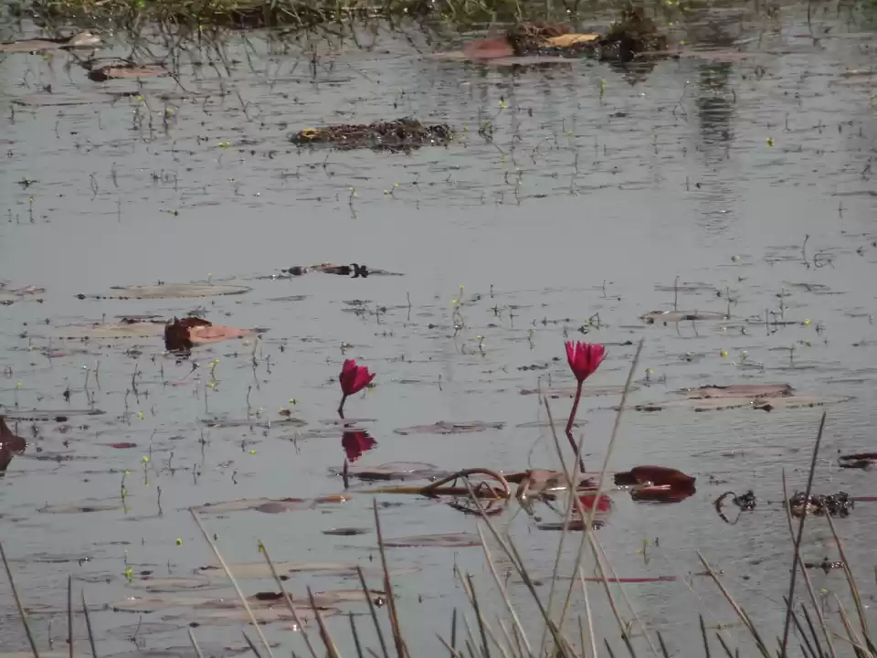 Photo of Bolpur, Shantiniketa