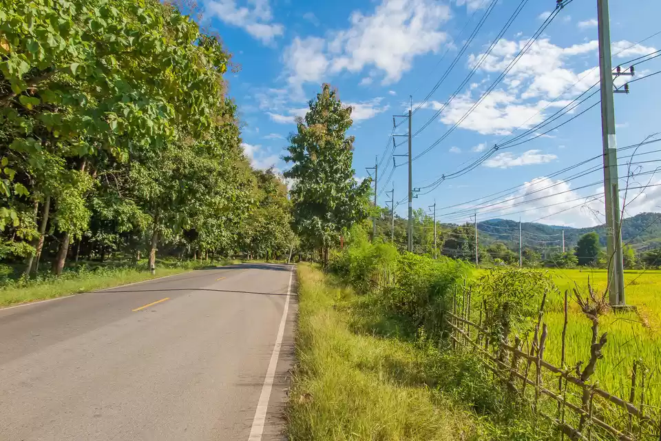 Photo of This Summer, Head To