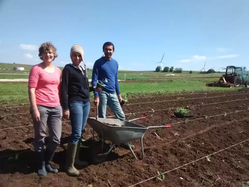 Photo of WWOOFING: Another wa