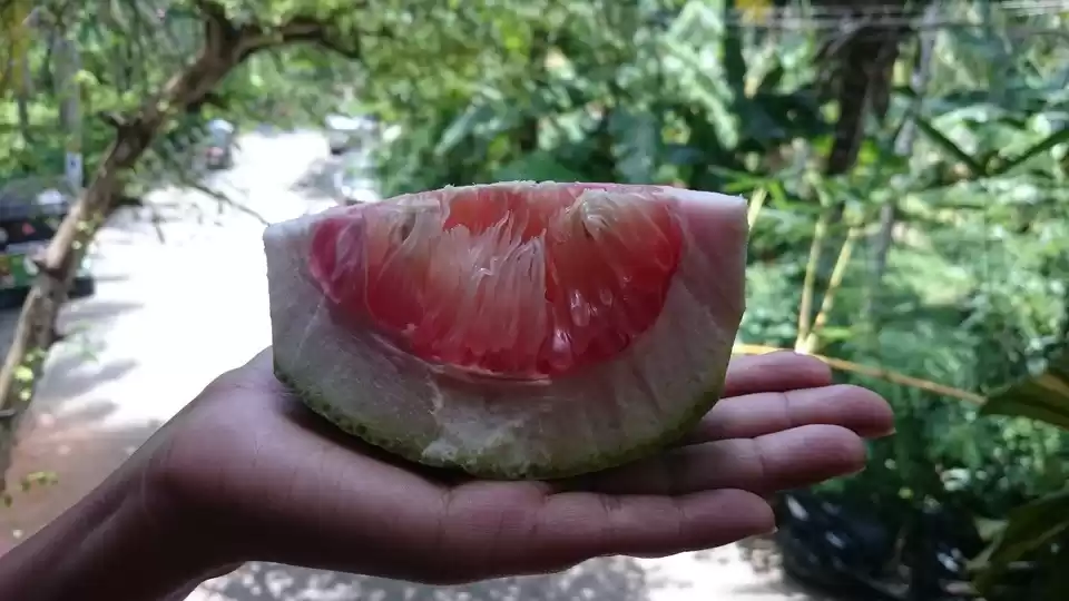 Photo of Top things to do at 