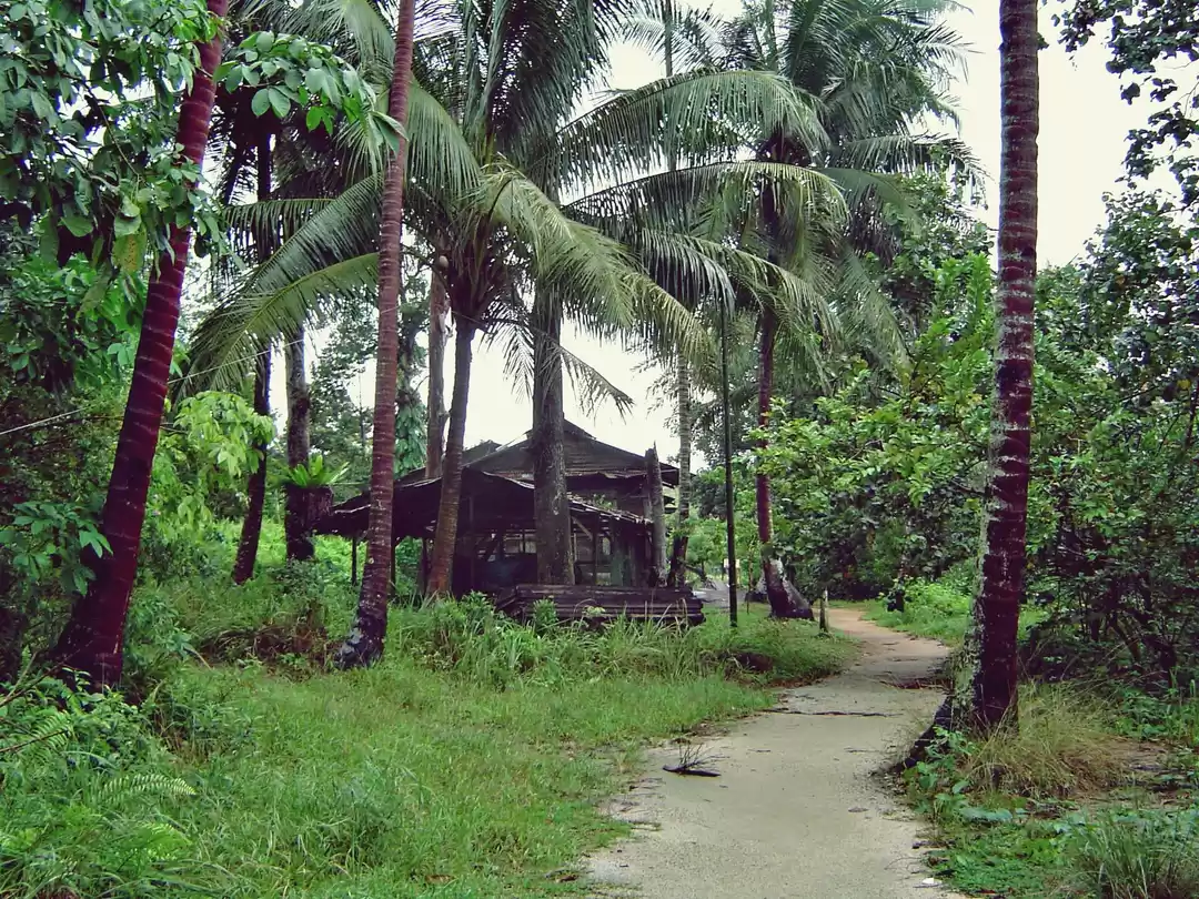 Photo of 8 Must-Have Experien