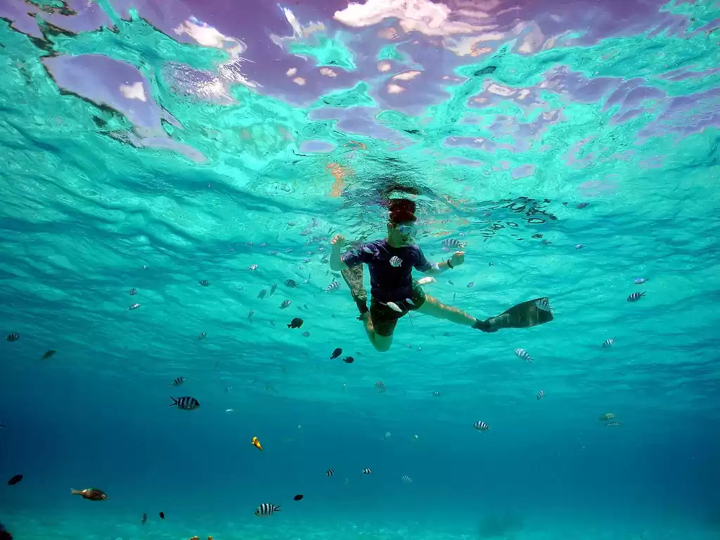 Photo of Snorkelling In India