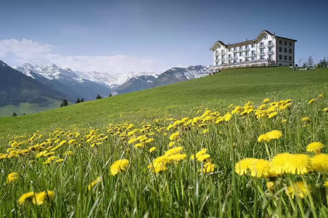 Photo of Switzerland's Hotel 