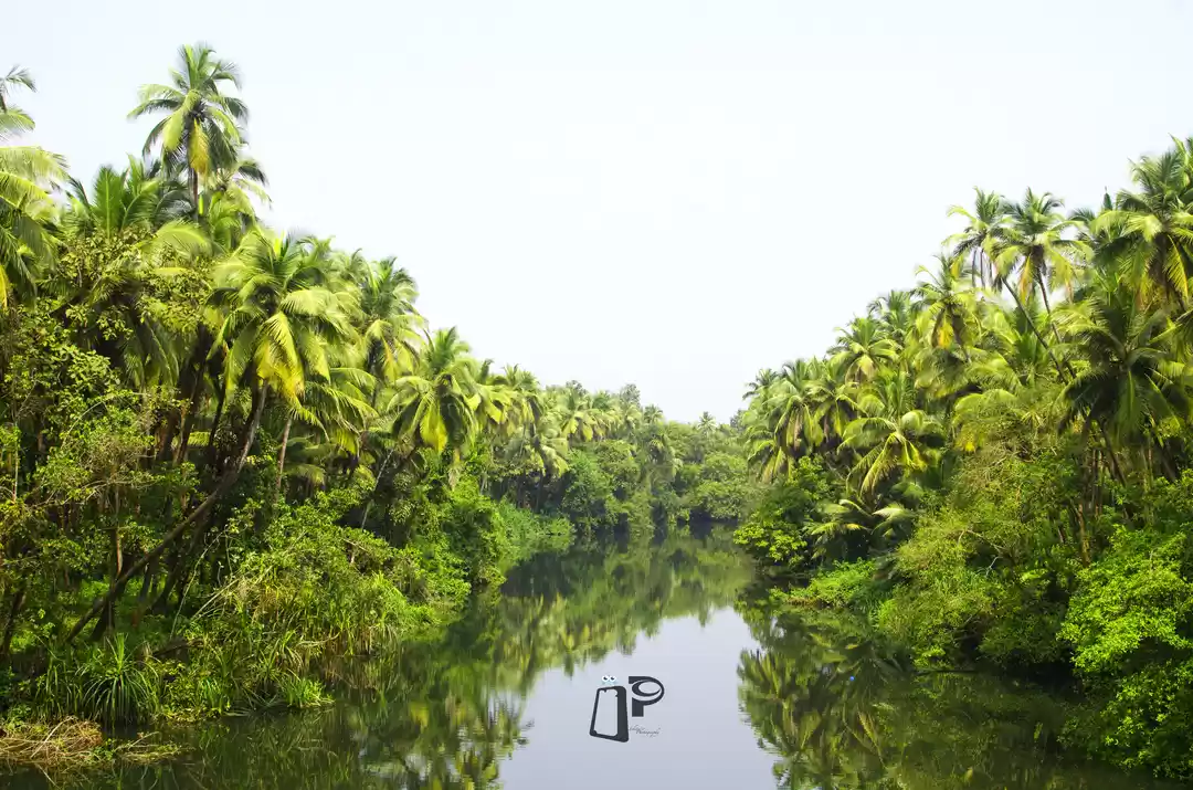 Photo of GOA - The Party Hub!