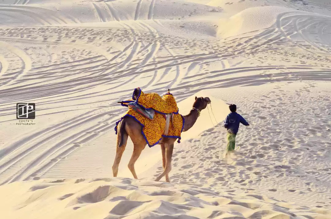 Photo of JAISALMER - Desert S