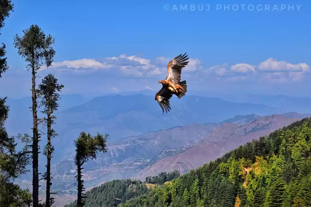 Photo of सतरंगी पहाड़