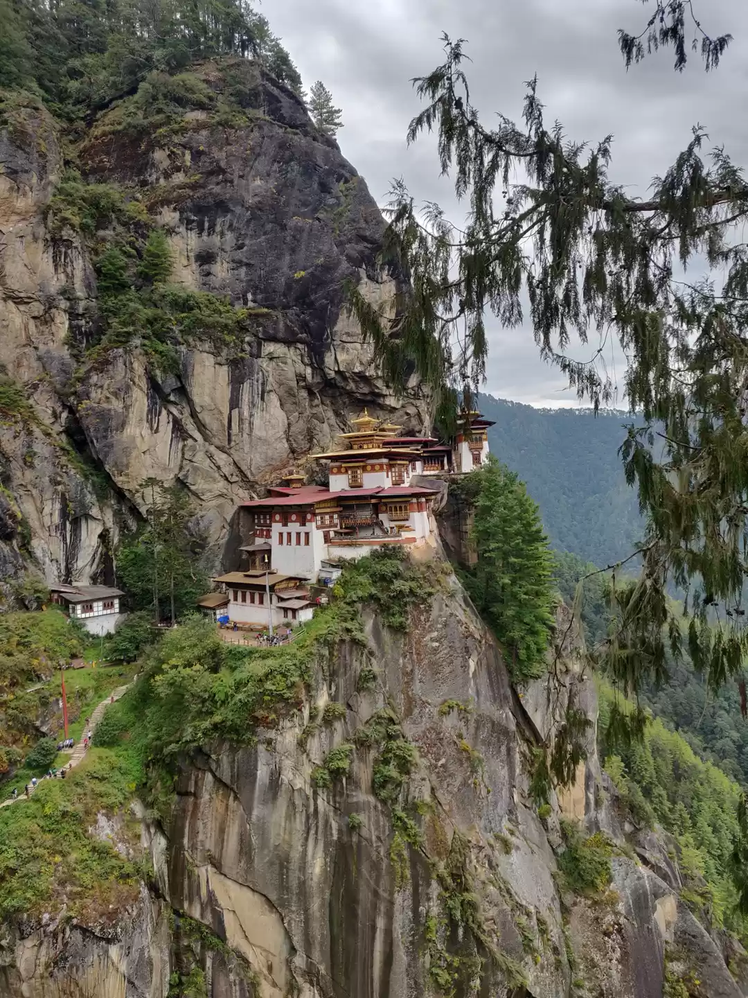 Photo of 7 things to know bef