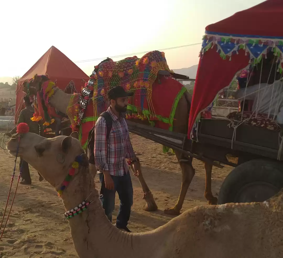 Photo of Pushkar : the real b