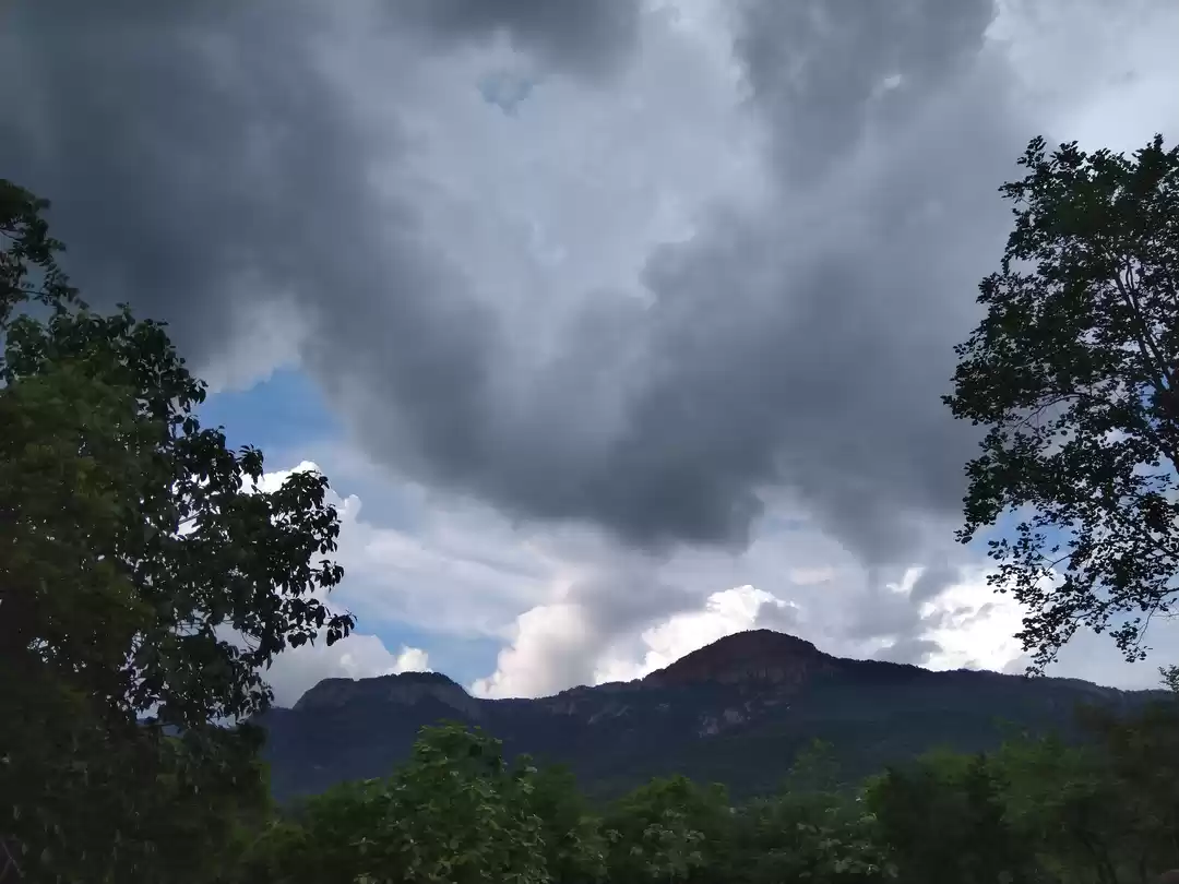 Photo of A journey for peace 