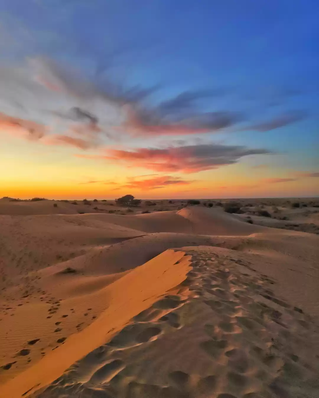 Photo of A trip to Rajasthan 