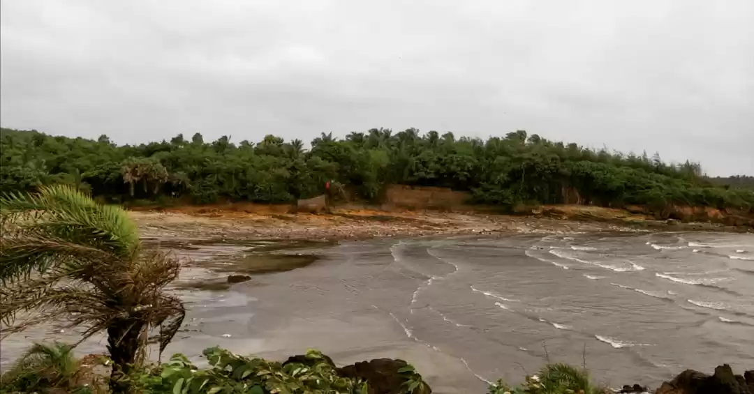 Photo of Windy beach