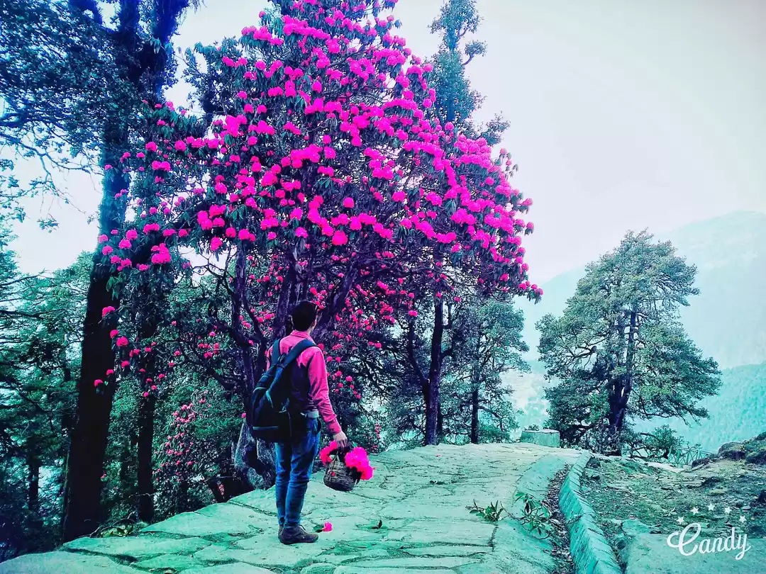 Photo of A Jug full of Experi