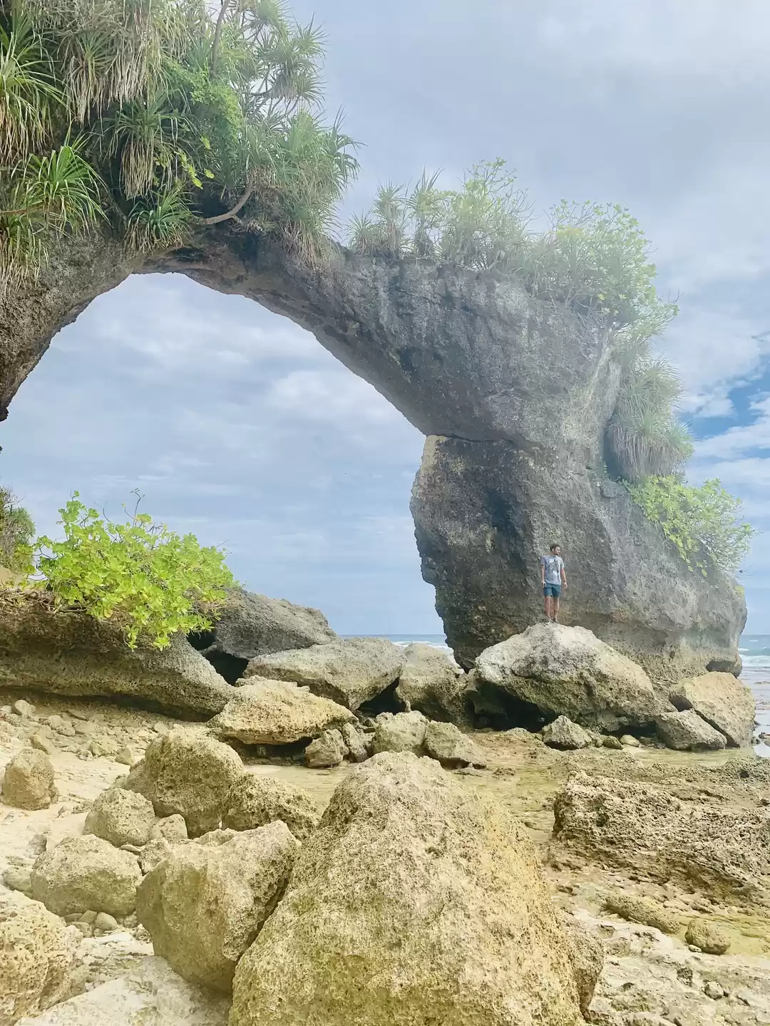 Photo of Natural Coral Bridge