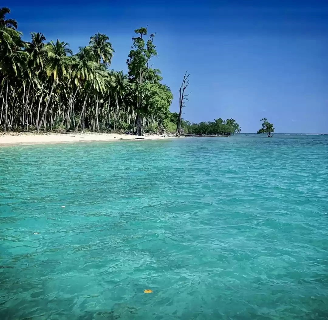 Photo of Havelock Island: Bea