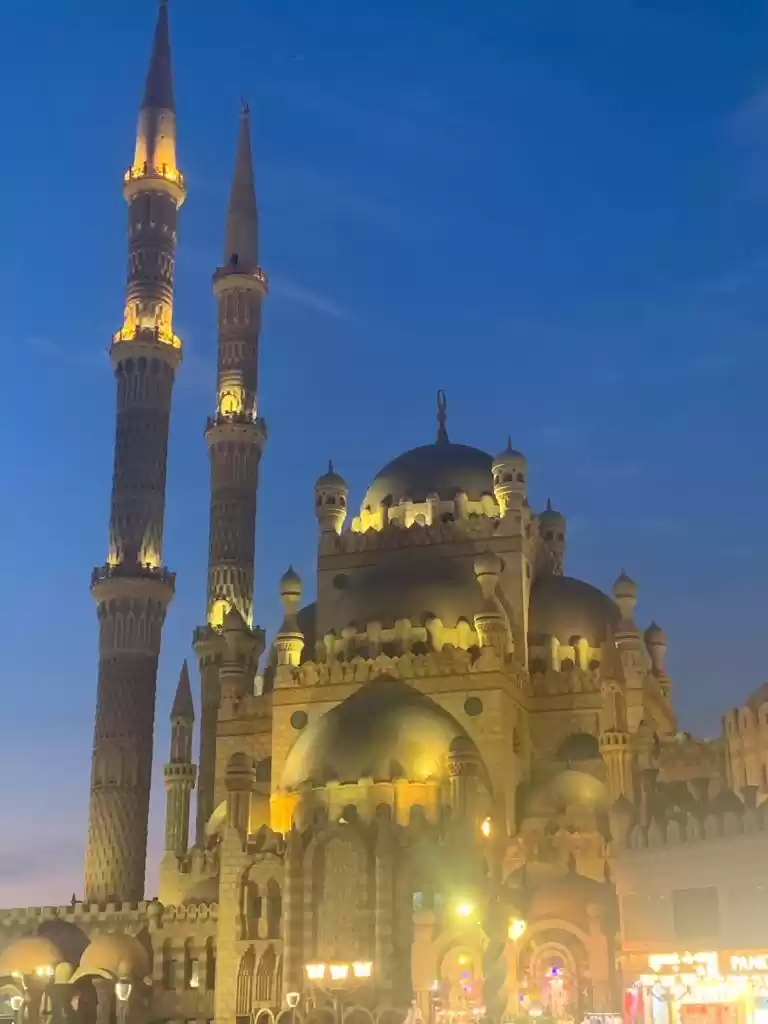 Photo of What not to do in Eg