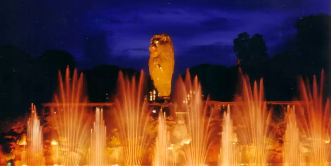 Photo of All You Need To Know