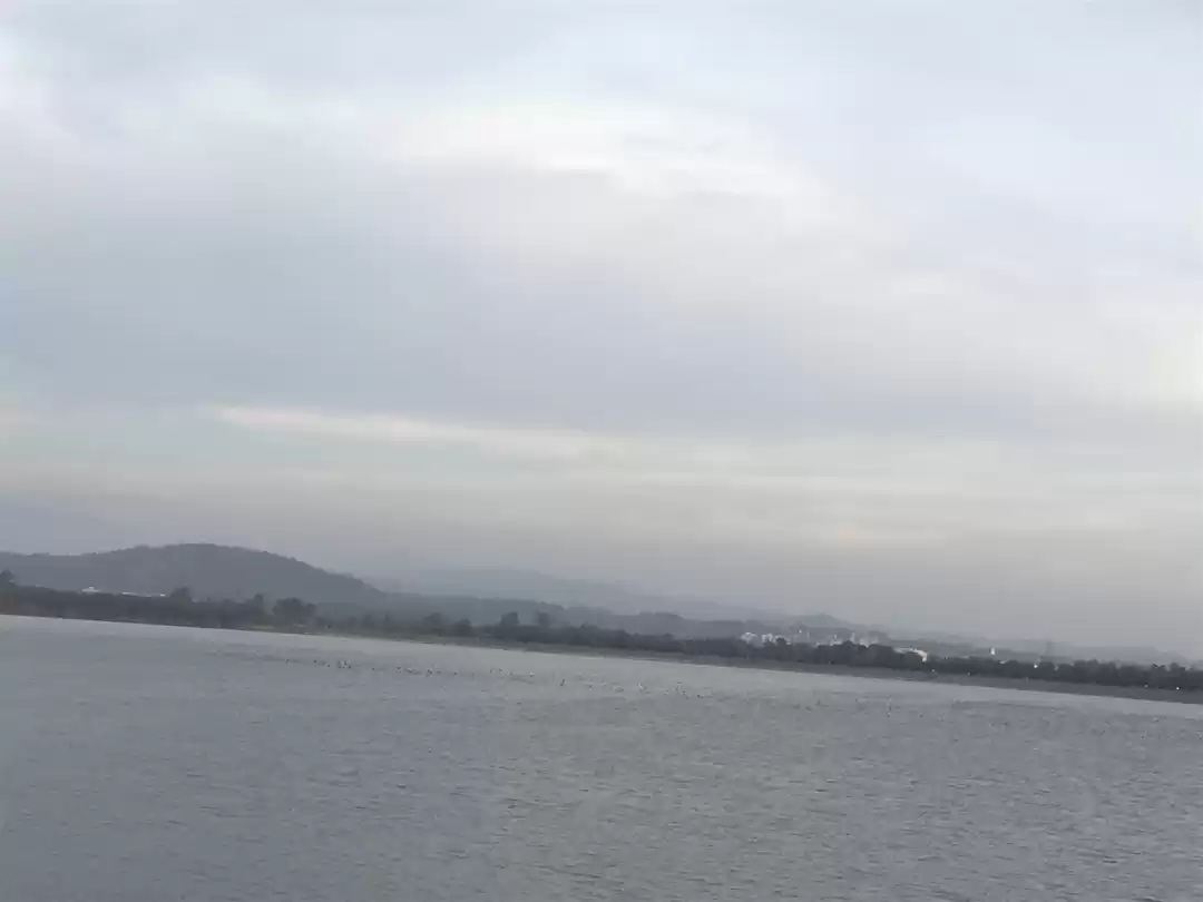 Photo of Sukhna Lake - heart 