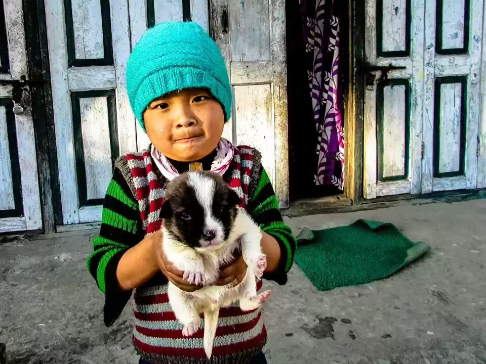 Photo of Ravangla: Serendipit