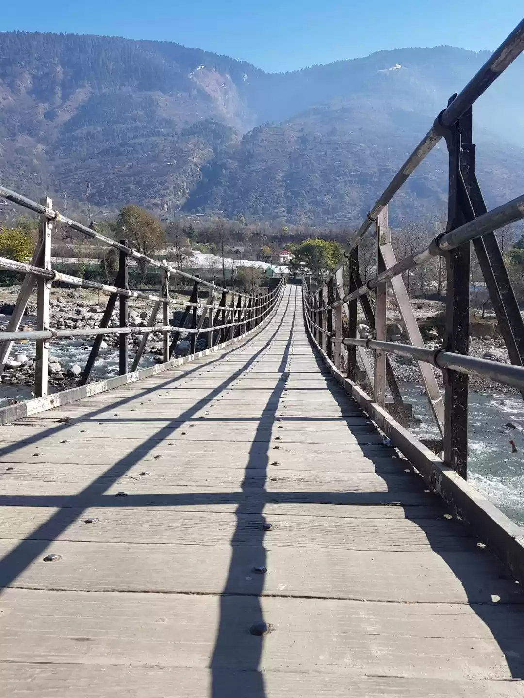 Photo of Hail and healthy him