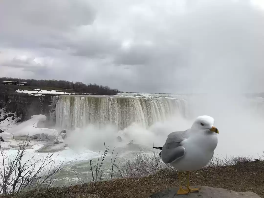 Photo of My Toronto Highlight